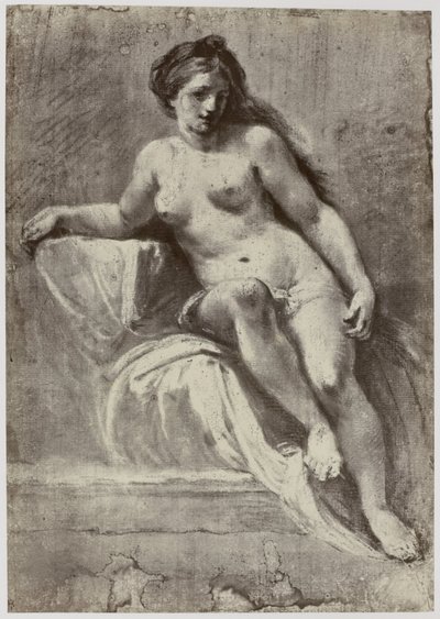 Zuccarelli, Studie od Philip Henry Delamotte