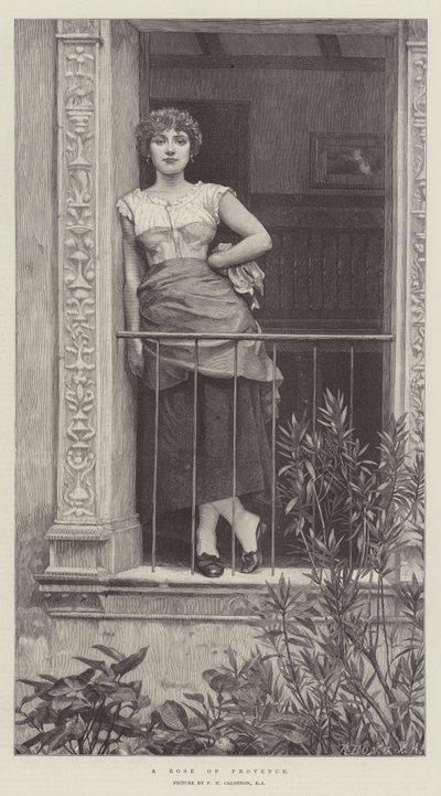 Růže z Provence od Philip Hermogenes Calderon