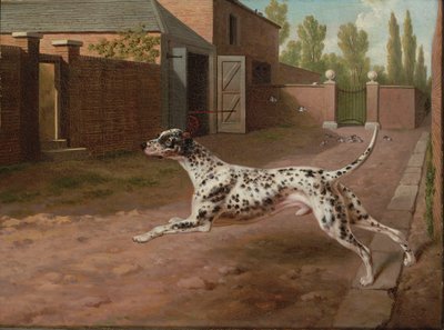 Dalmation běžící ve stabilním dvoře od Philip Reinagle