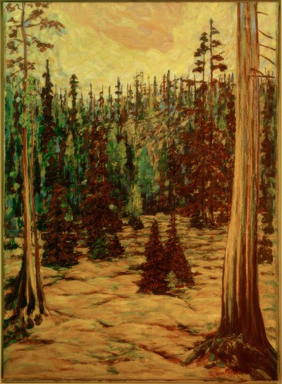 Letní les od Philipp Bauknecht
