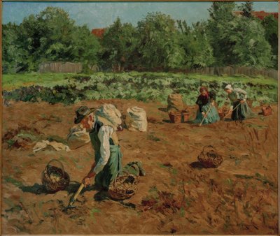 Sklizeň brambor od Philipp Franck