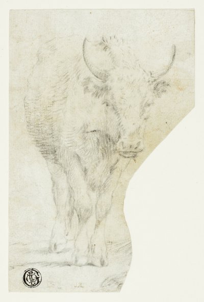 Kráva od Philipp Peter Roos
