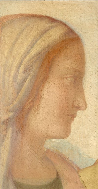 Mädchenprofil od Philipp Veit