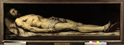 Mrtvý Kristus ležící na plášti Obraz od Philippa de Champaigne (1602-1674) 17. století Slunce 0,68x1,97 m Paříž, Musee du Louvre od Philippe de Champaigne