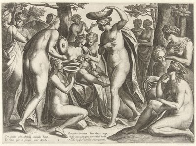 Vzdělání Adonise Příběh Adonise (název série) od Philips Galle