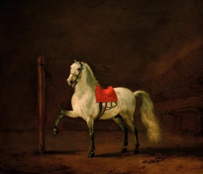 Bílý kůň ve stáji od Philips Wouwerman