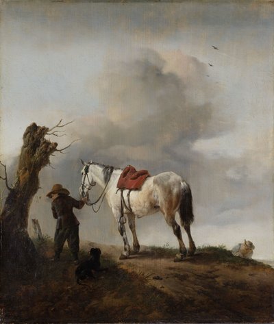 Šedý kůň, kolem roku 1646 od Philips Wouwerman
