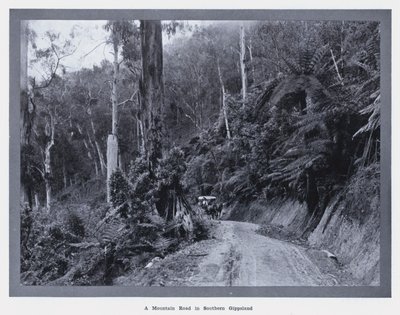 Horská cesta v jižním Gippslandu (černobílá fotografie) od Photographer Australian