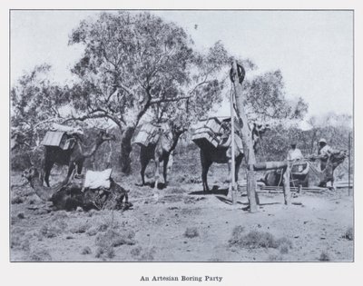 Artéská nudná párty (černobílá fotografie) od Photographer Australian