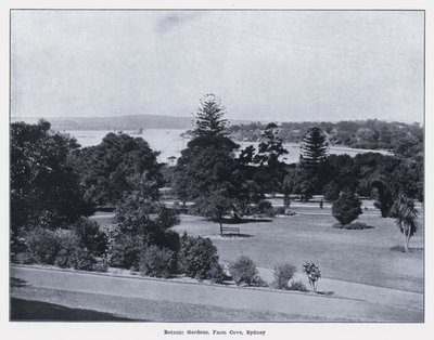 Botanické zahrady, Farm Cove, Sydney (černobílá fotografie) od Photographer Australian