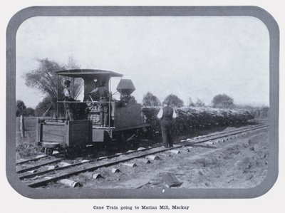 Cane Train jede do Marian Mill, Mackay (č/b foto) od Photographer Australian