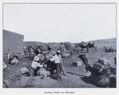 Načítání velbloudů pro Nullagine (černobílá fotografie) od Photographer Australian