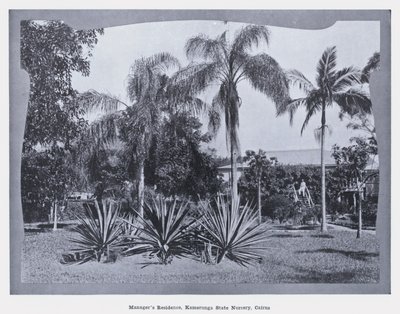Manažerská rezidence, Státní školka Kamerunga, Cairns (černobílá fotografie) od Photographer Australian