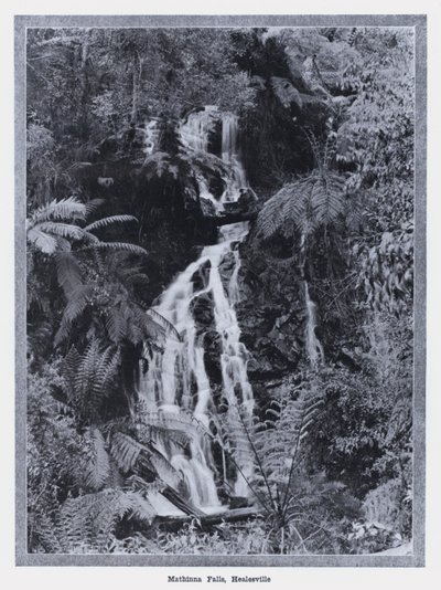 Mathinna Falls, Healesville (černobílá fotografie) od Photographer Australian