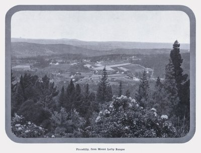 Piccadilly, z Mount Lofty Ranges (černobílá fotografie) od Photographer Australian