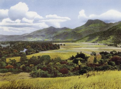 Queensland, Austrálie: Sugar Lands at Mossman (foto) od Photographer Australian