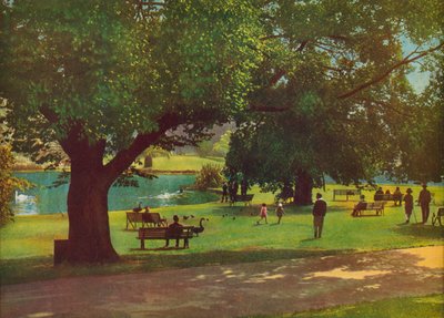 Botanická zahrada, Melbourne (barevné foto) od Photographer Australian