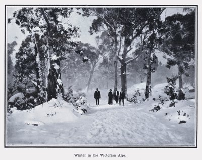 Zima ve viktoriánských Alpách (černobílá fotografie) od Photographer Australian