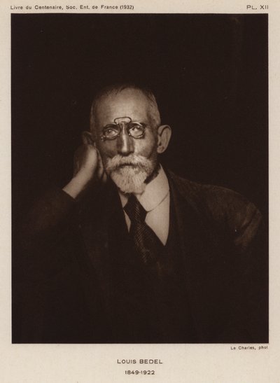 Ernest Marie Louis Bedel, francouzský entomolog (černobílá fotografie) od Photographer French