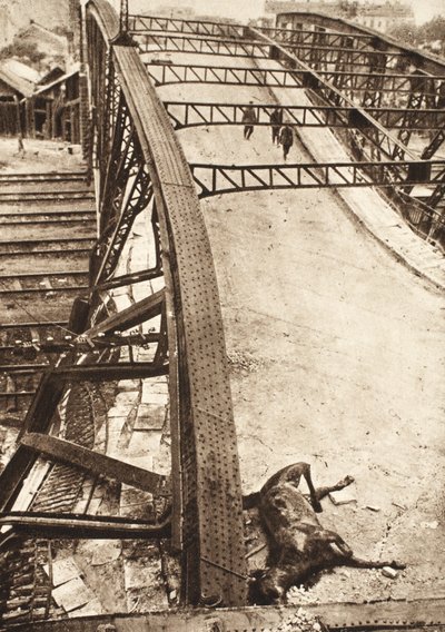 Průlom spojeneckých armád ve východní Haliči: lávka pro pěší přes železnici odstřelená Rusy v Ternopilu (č/b foto) od Photographer German