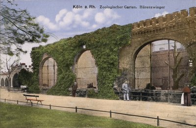 Kolínská zoo, medvědi (foto) od Photographer German