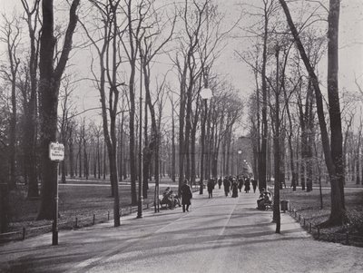 V Tiergarten, Ahornsteig (č/b foto) od Photographer German