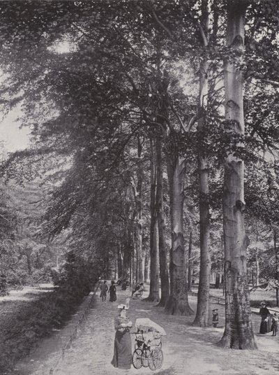 V Tiergarten, stinná cesta (černobílá fotografie) od Photographer German