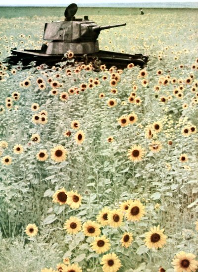 Operace Barbarossa od Photographer German