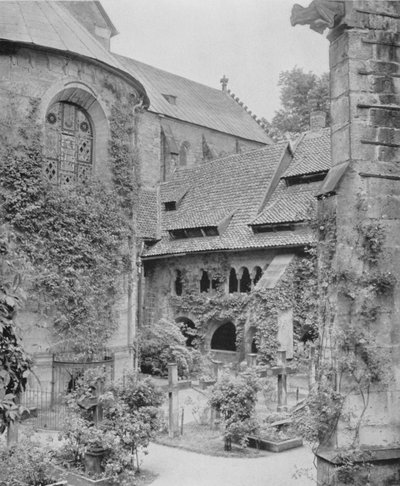 Tausendjahriger Rosenstock (černobílá fotografie) od Photographer German