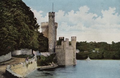 Jižní Irsko: hrad Blackrock, hrabství Cork (barevné foto) od Photographer Irish