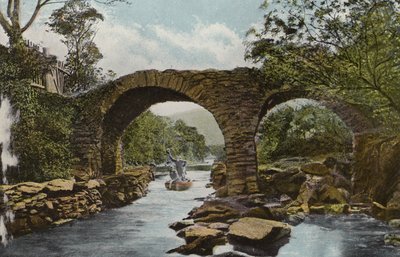 Jižní Irsko: The Old Weir Bridge (Shooting the Rapids), Killarney (barevné foto) od Photographer Irish
