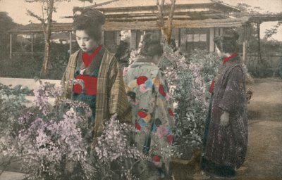 Japonky s rostlinami vistárie (barevné foto) od Photographer Japanese