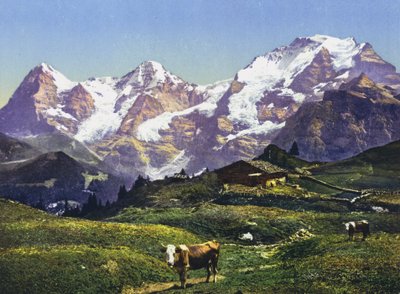 Eiger, Monch a Jungfrau (foto) od Photographer Swiss