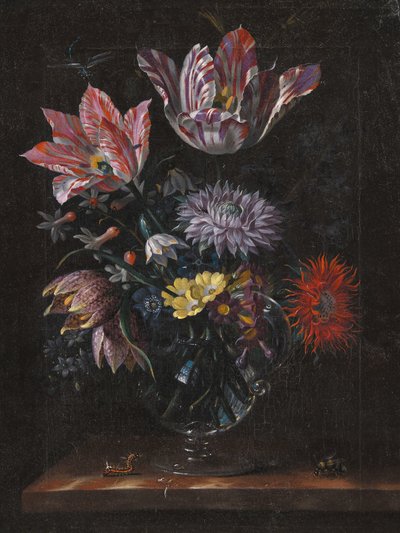 Autor neznámý, Jacob Marrel od Pictufy