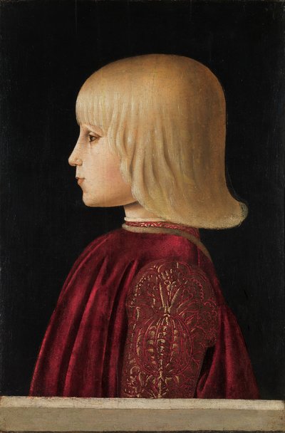 Portrét chlapce Guidobaldo Da Montefeltro, ca 1479. od Piero della Francesca