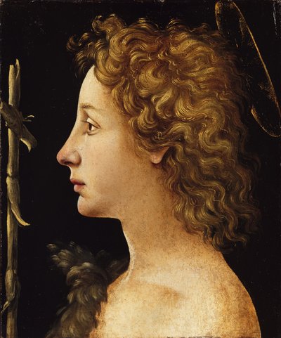 Mladý svatý Jan Křtitel (tempera a olej na dřevě) od Piero di Cosimo