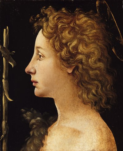 Mladý svatý Jan Křtitel, ca. 1480-82. od Piero di Cosimo