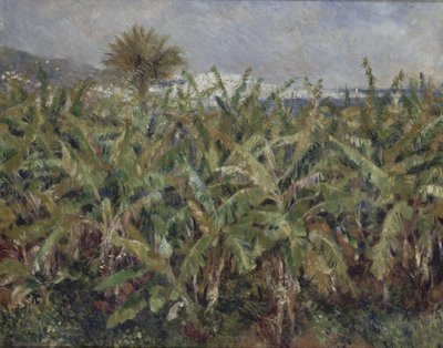 Banánové pole od Pierre-Auguste Renoir