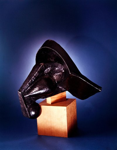 Hlava koně od Pierre Maurice Raymond Duchamp Villon