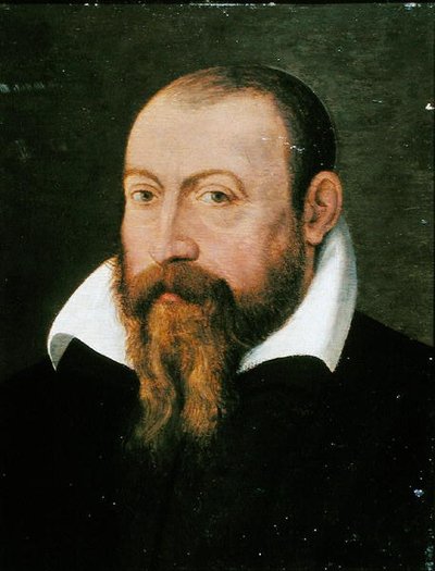 Jacques Dalechamps (1513-88) (olej na desce) od Pierre (attr. to) Eskrich