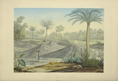 Air Volcanoes of Turbaco, vyryto Bouquetem, ilustrace z „Pohledy na Kordillery a památky domorodých národů Ameriky“ od Alexandra von Humboldta a Aime Bonpland od Pierre Antoine (after) Marchais