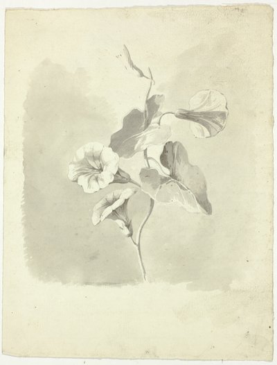 Ranní glorie od Pierre Antoine Mongin