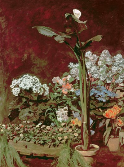 Lilie a skleníkové rostliny od Pierre Auguste Renoir