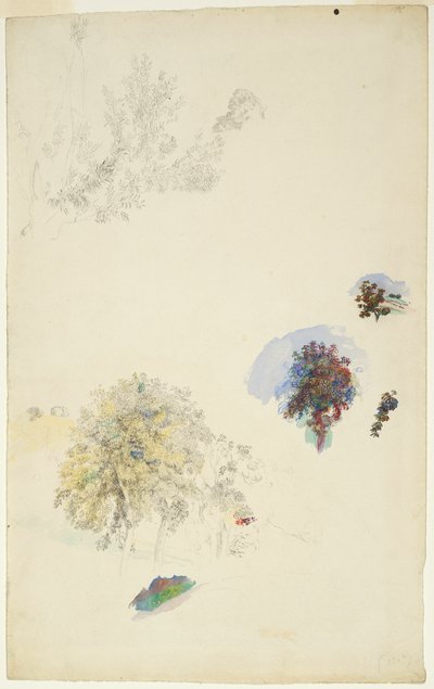 Studie stromů a listů od Pierre-Auguste Renoir