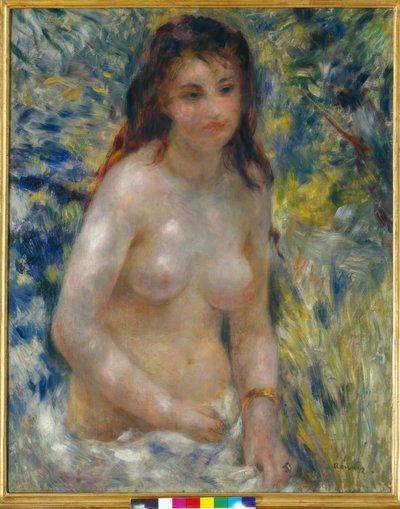 Ženské torzo na slunci od Pierre Auguste Renoir