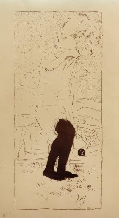 V soukromí od Pierre Bonnard