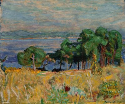 Zátoka Saint-Tropez od Pierre Bonnard