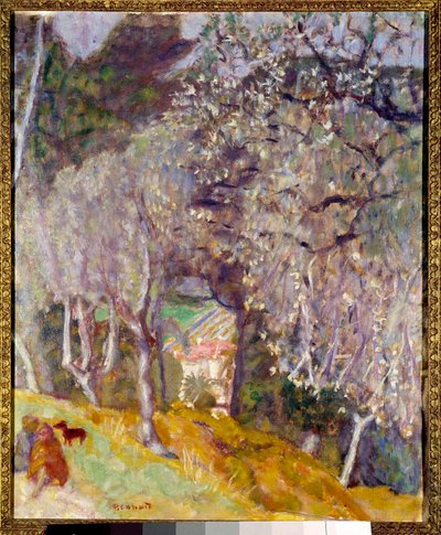 Dům v Olivách od Pierre Bonnard