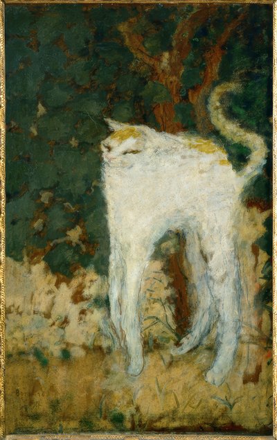 Bílá kočka od Pierre Bonnard