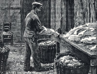 Kůže: štípání králičích kůží na kůži Rytina z „Excursion a travers les metiers“ od Pierre Calmette Private Collection od Pierre Calmettes